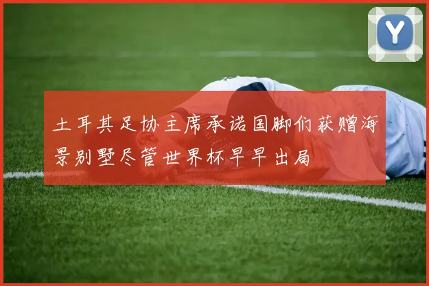 土耳其足协主席承诺国脚们获赠海景别墅尽管世界杯早早出局