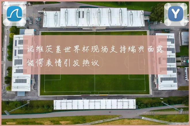诺维茨基世界杯现场支持瑞典面露错愕表情引发热议